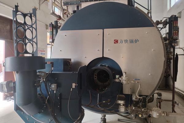 Chemical plant steam boiler case