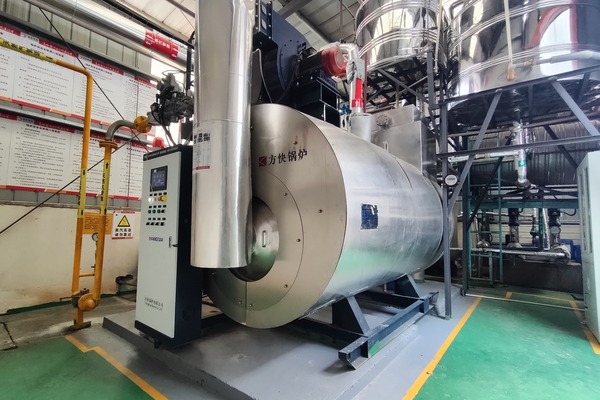 steam boiler cases1