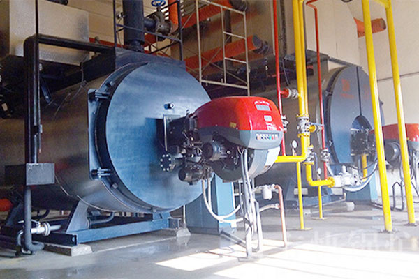 WNS gas steam boiler