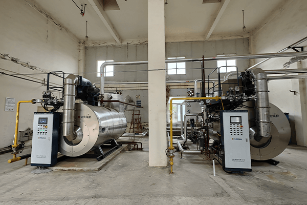 6 Ton Gas Steam Boiler