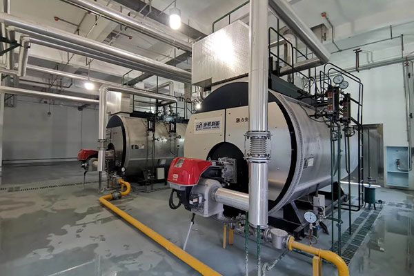 High-pressure steam boiler