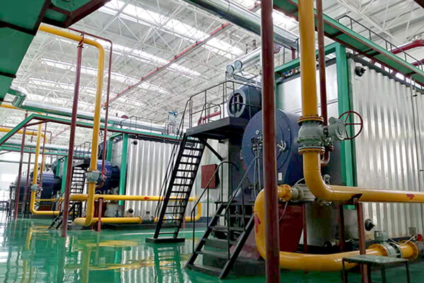 Water tube hot water boiler