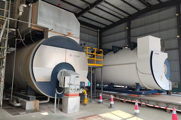 gas steam boiler