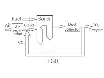 FGR system