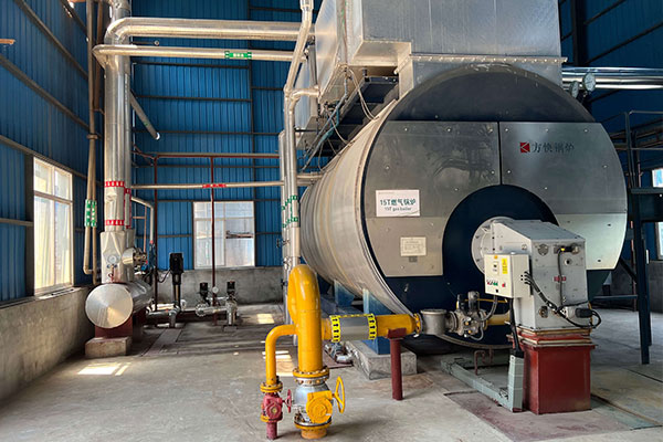 WNS steam boiler
