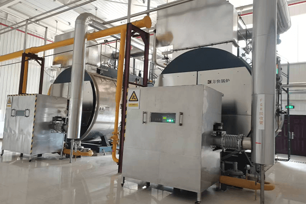 euro7-gas-steam-boiler-cases2