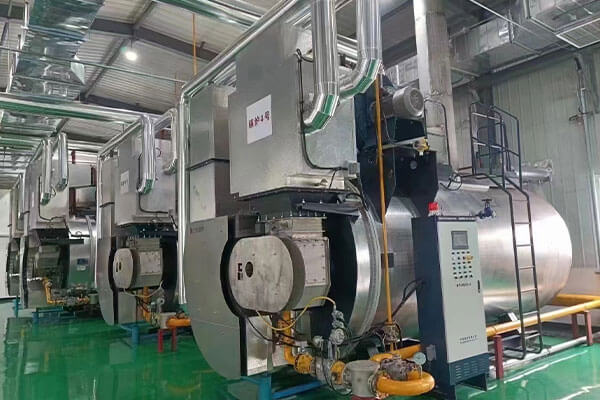 euro7-gas-steam-boiler-cases3