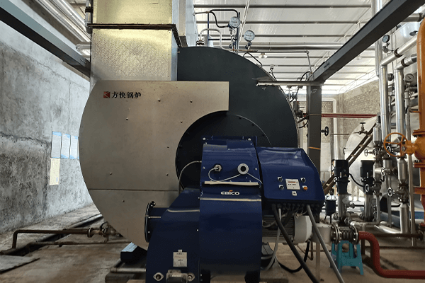 euro7-gas-steam-boiler