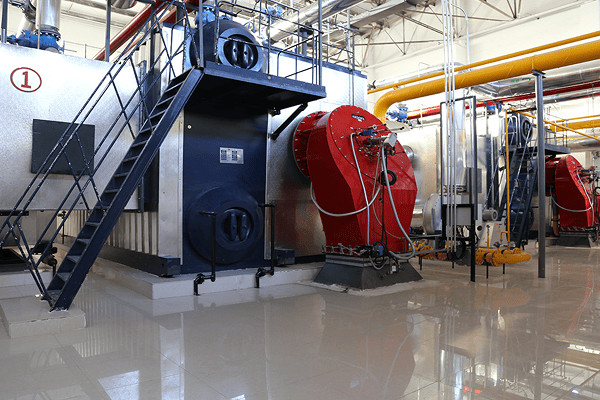 Water tube gas steam boiler
