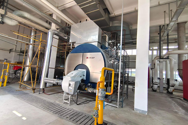 Condensing steam boiler