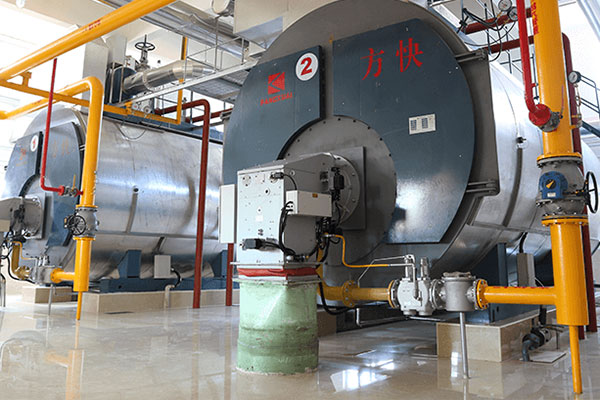 gas steam boiler