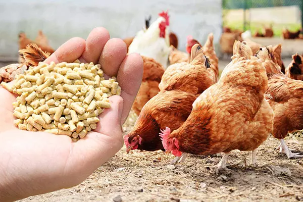 Breeding Industry Example