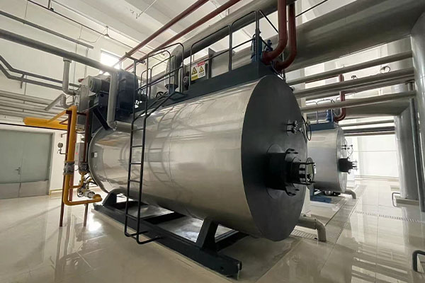 gas steam boiler 
